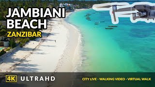 Jambiani Zanzibar 4K ❤️ Cinematic Drone Footage  2021 [upl. by Timmons]