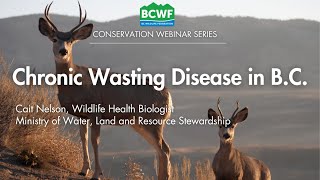 Chronic Wasting Disease  What to know for the upcoming hunting season [upl. by Rolfe491]