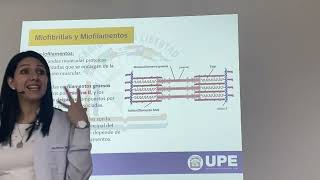 Fisiologia  Contração do musc esquelético parte 1 [upl. by Lewison]