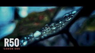 Canon EOS R50 Cinematic Footage [upl. by Sylirama690]