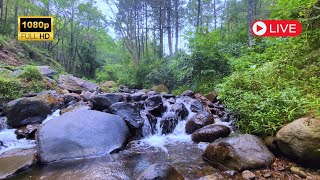 Gentle Water Flow for Sleep Aid and Stress Relief [upl. by Alemahs]