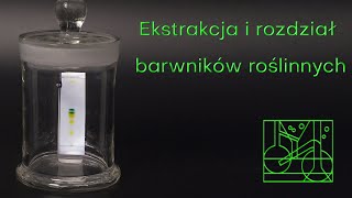 Ekstrakcja i rozdział barwników roślinnych [upl. by Kenzie683]