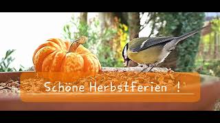 Schöne Herbstferien [upl. by Airod]