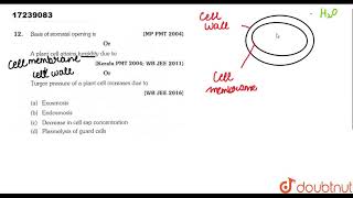Basis of stomatal opening is A plant cell attains turgidity due to Turgor pressure [upl. by Shaeffer]