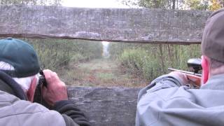 Hunting in Hungary  Wild Boar and Red Stag [upl. by Cantu]