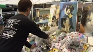 Raw Japan Mourns Tama the Stationmaster Cat [upl. by Noir552]