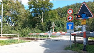 Bahnübergang Adliswil CH  Swiss Railroad Crossing [upl. by Oderf288]