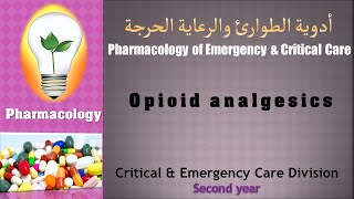 Pharmacology  lecture 12 Opioid analgesics المسكنات الأفيونية [upl. by Ave]