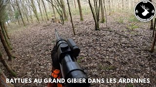 Battue au grands gibiers dans les Ardennes saison 20232024  Partie 1 [upl. by Ahsikam125]