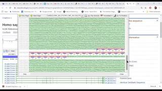 How to get gene sequence from NCBI and Identify Intronic and Exonic Regions  Online Class Recording [upl. by Pam]