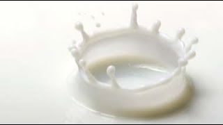 Whats the Difference Between Milk and Half amp Half Cream Culinary Questions with Kimberly [upl. by Yaeger]