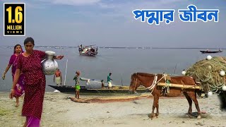 দেশের দীর্ঘতম নদী পদ্মার জীবন  Life of the Longest River Padma [upl. by Kwarteng]