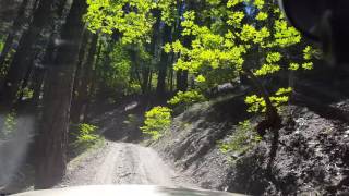 Cleghorn Bar Trail Plumas National Forrest [upl. by Herwick700]