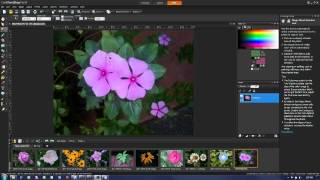 Saturation Adjustment in PaintShop Pro X4 [upl. by Jobyna1]