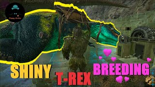 Aggressive And Breedable 😡🥰🔴LIVE🔴  ARK SURVIVAL EVOLVED poppychulo poppyseeds roadto250subs [upl. by Nahgem273]