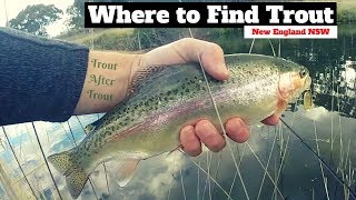 Where to find Trout New England NSW  Big Rainbow Trout Go Crazy [upl. by Aztiram]