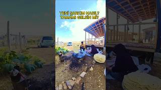 Doğada Yufka Ekmeği 🥖 Nasıl Yapılır PART 3  How To Make Phyllo Bread in Nature Outdoors [upl. by Josiah]