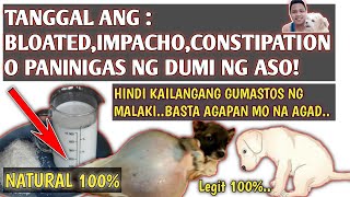 GAMOT SA BLOATEDIMPACHOCONSTIPATION PANINIGAS NG DUMI NG ASO 100NATURAL  WALANG GASTOS  PART 2 [upl. by Pall]