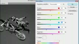 Adobe Photoshop CS4  Passer une image couleur en noir et blanc [upl. by Ycrep]