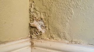 Damp proofing and wall repair you can do at home [upl. by Kathy]