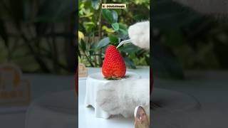 How to make a fresh strawberry cake😍🍓 SC ChefCatChangAn shorts funny [upl. by Jerz365]