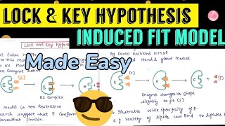 Lock and key hypothesis Induced fit model  😎😎models for Enzyme ActionNotes [upl. by Anaele735]