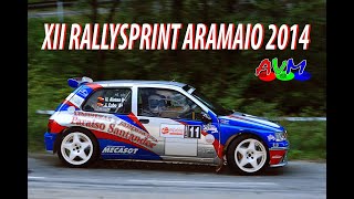 XII RALLYSPRINT ARAMAIO 2014 [upl. by Jasmin260]