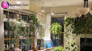 Wintering plants around the house [upl. by Crofton]