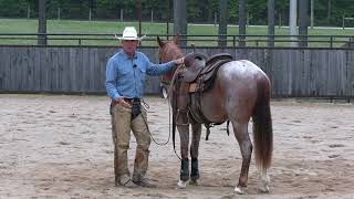 Epic Success In 20 Days Snaffle Bit Basics with Neches Day 7 Preview [upl. by Kurtis]