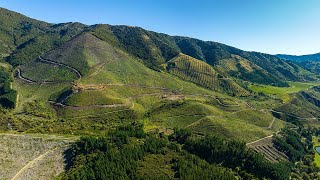 Awatere Valley Forestry  Marlborough [upl. by Nnylrats]