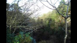 Lake District Walks  Stanley Ghyll Force Waterfall Walk [upl. by Otiragram938]