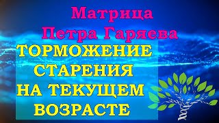 Настоящая Матрица Гаряева🍀Торможение Старения на Текущем Возрасте🎧Matrix Garyaev🍀Aging Inhibition [upl. by Anitahs]