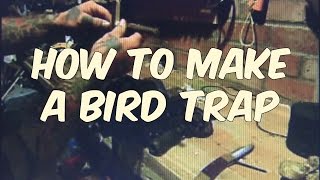 how to make a bird trap [upl. by Ocir]