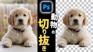 【Photoshop講座】動物の切り抜き方！毛はどうする？ [upl. by Edijabab]