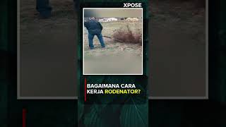 Bagaimana Cara Kerja Rodenator❓ [upl. by Rosdniw]