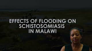 Effects of Flooding on Schistosomiasis in Malawi [upl. by Oicaro]