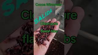 Efficient Cacao Processing with Vulcanotecs Cacao Cracker and Winnower [upl. by Riggs]