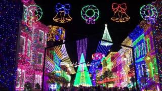 Osborne lights  Disney Hollywood studios 111415 [upl. by Nal757]