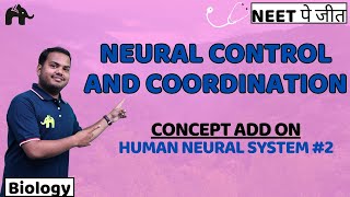 Neural Control and Coordination Class 11 Biology NEET  NCERT Chapter 18  Human Neural System 2 [upl. by Elmer568]