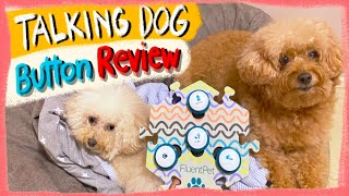 FLUENT PET BUTTONS REVIEW Teaching My Dogs to Talk The Poodle Mom [upl. by Haral]