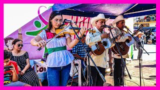 🤠🎻💃 Bien Tocado Que Bonito Huapango La Leva Con Trío Tamazunchale  Eréndira [upl. by Otecina62]