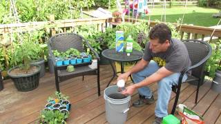 How to Use amp What is Water Soluble Garden Fertilizer My Organic Mix  TRG 2014 [upl. by Gena]