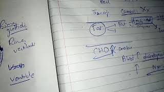 PITUTARY GLAND with HORMONES PHYSIOLOGY ch 76 guyton fast and easy review part 3 [upl. by Ardyaf]