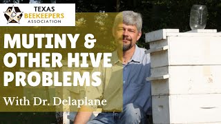 Dr Keith Delaplane on Mutiny And Other Things That Can Go Wrong in a Bee Colony Besides mites [upl. by Bina]