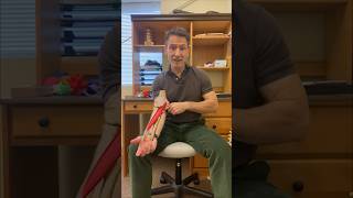 Biceps Tendonitis Treatment  Fascial Release of the Pronator Teres Muscle [upl. by Rajiv169]