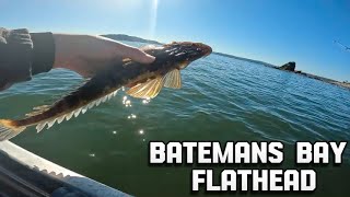 Flathead Fishing in Batemans Bay [upl. by Calderon940]