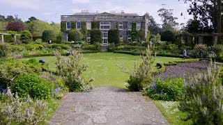 Journey to Giant’s Causeway and Mount Stewart in Northern Ireland [upl. by Halbeib]