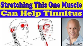 Stretching This One Neck Muscle Can Help Your Tinnitus  Dr Alan Mandell DC [upl. by Akcire196]