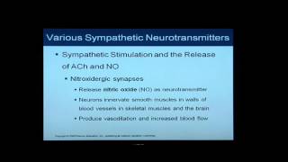 Anatomy and Physiology Help Chapter 16 Light OverviewFlythrough of Autonomic Nervous System [upl. by Oletha]