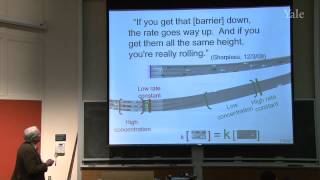 3 Rate and Selectivity in RadicalChain Reactions [upl. by Aerdnuahs69]